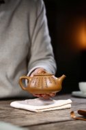 江南好，風(fēng)景舊曾諳【平蓋子冶】