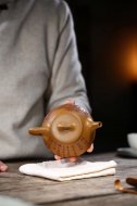 江南好，風(fēng)景舊曾諳【平蓋子冶】